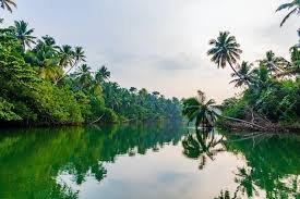 Kerala backwaters 1